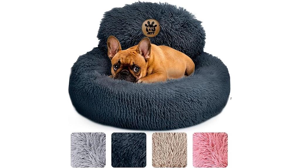 comfortable bed for dogs