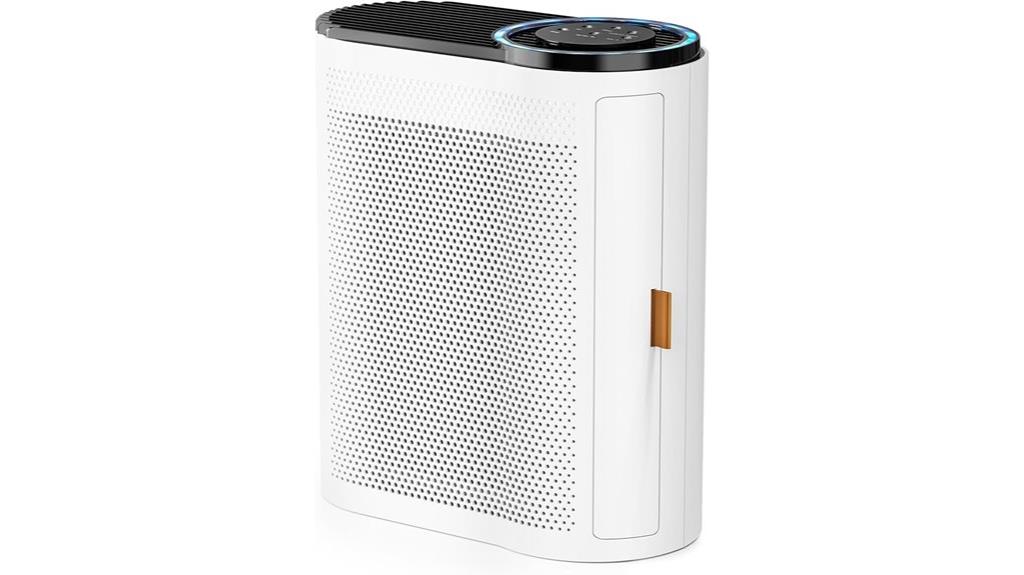 large room air purifier