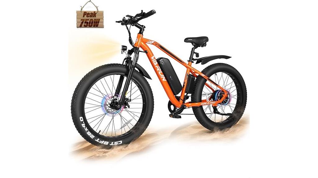 men s 750w fat tire bike