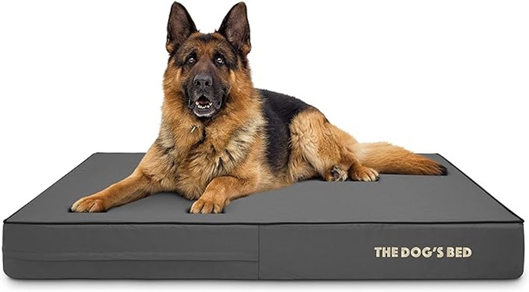 orthopedic memory foam bed