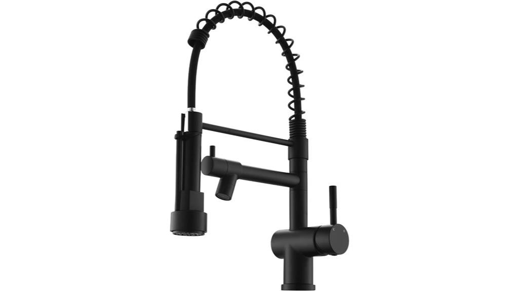 stylish black kitchen faucet