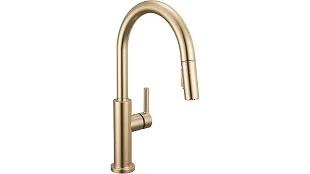 stylish pull down kitchen faucet