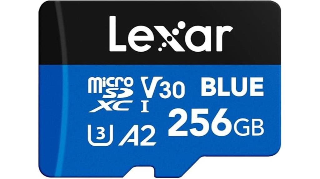 256gb micro sd card
