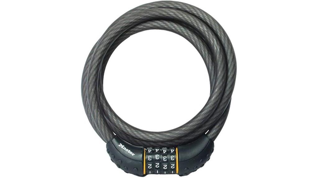 6 ft black cable lock