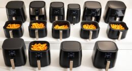 affordable high quality air fryers