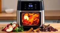 air fryers with dehydration
