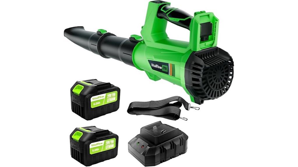 cordless leaf blower kit