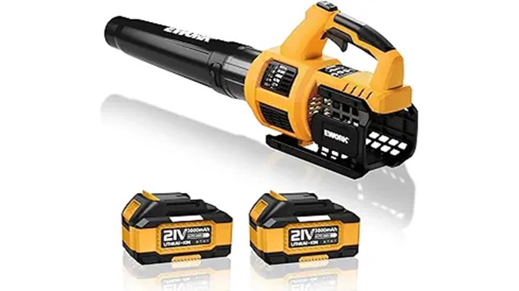 cordless leaf blower set