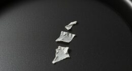 non stick coating peeling solutions