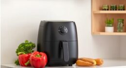 small kitchen air fryers