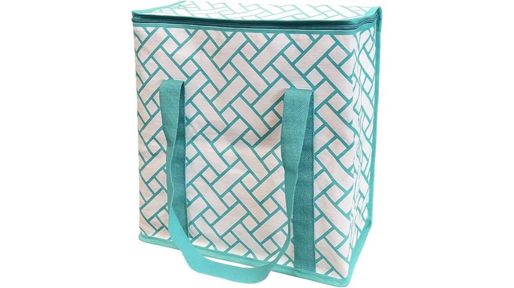 insulated large food bag