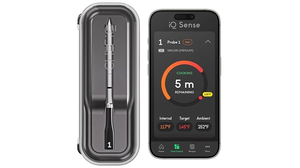 wireless meat thermometer 2025