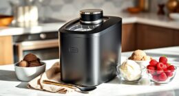 luxury home ice cream machines