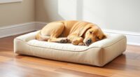 top orthopedic dog pillows