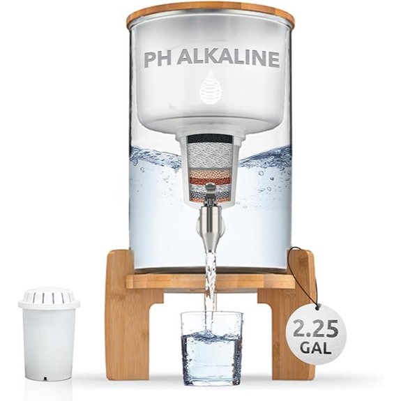 Invigorated Water pH Recharge Alkaline Water Dispenser