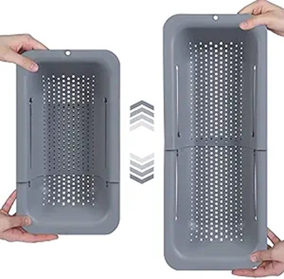 Blue Ginkgo Extendable Over-the-Sink Strainer Basket