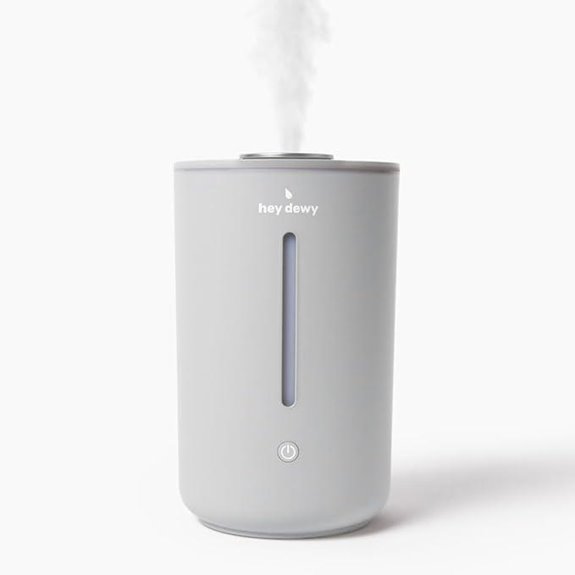 Hey Dewy Wellness Ultrasonic Humidifier (Slate)