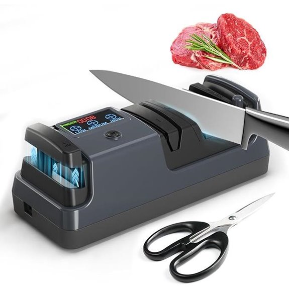 5-in-1 Electric Knife Sharpener with Diamond Abrasives