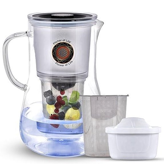Borosilicate Glass Water Pitcher with Fruit Infuser