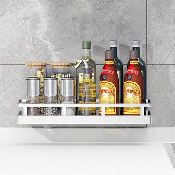Stainless Steel Wall Mount Spice Rack Organizer