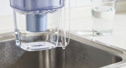 top filters for water purity