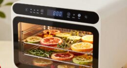 dehydrator temperature causes spoilage