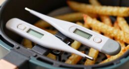 instant read vs probe