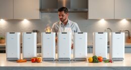 top smoke eater purifier picks