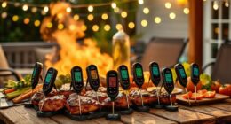 top wireless meat thermometers