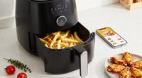 air fryer recipe preferences