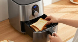 10 Best Air Fryer Oven With Toast Mode in 2026