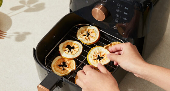 11 Best Air Fryer Oven for Dehydrating in 2026