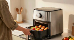 11 Best Best Commercial Style Air Fryer Oven in 2026
