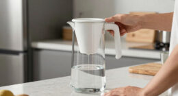 11 Best Best Premium Water Filter Pitcher in 2026