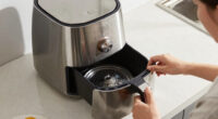 11 Best Non Plastic Interior Air Fryers for 2026
