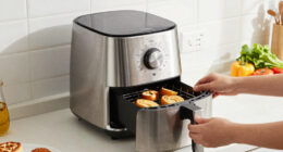 12 Best Restaurant Style Air Fryer Oven in 2026