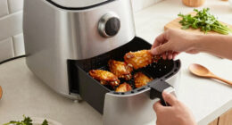13 Best Air Fryer for Chicken Wings in 2026