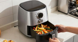 7 Best Air Fryer Oven With Dual Heating in 2026