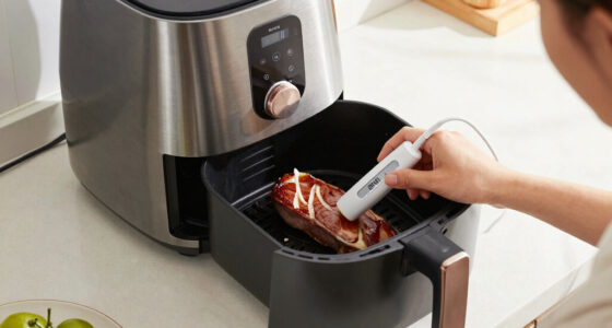 7 Best Air Fryer Oven With Probe Thermometer in 2026