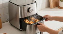 7 Best Best Stainless Steel Steam Air Fryer Oven in 2026