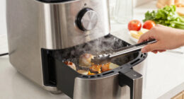9 Best Air Fryer Oven With Steam Infusion in 2026