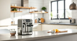 De'Longhi Espresso Machine Descale Light Stuck: Causes & Fixes