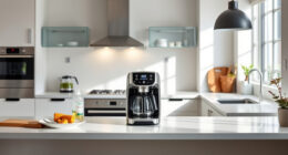 How to Clean a De'Longhi Magnifica S for Optimal Performance