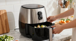 15 Best Air Fryers With Large Capacity in 2026