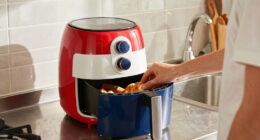 15 Best Patriotic-Themed Air Fryers in 2026