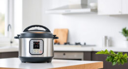 Instant Pot Burn Error: Causes & Easy Fixes