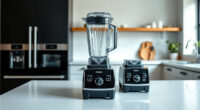Is the Vitamix E310 Explorian Worth It? Honest Review