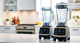 Is the Vitamix E310 Explorian Worth It? Honest Review