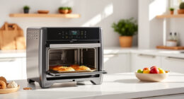 Ninja Foodi XL Pro Air Oven: The Perfect Summer Kitchen Companion