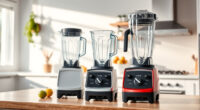 Vitamix 5200 vs Vitamix E310 Explorian: Full Comparison
